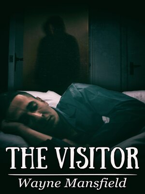 cover image of The Visitor